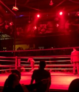 A wrestling ring is illuminated with red lighting, creating a dramatic atmosphere. Several people are visible around the ring, with silhouetted spectators in the foreground. Banners or art adorn the upper walls, and the venue has an industrial ceiling with exposed beams.